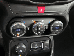 
 JEEP RENEGADE full									